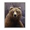 Stupell Industries Surprised Bear Portrait Framed Giclee Wall Art Design by Rod Lawrence